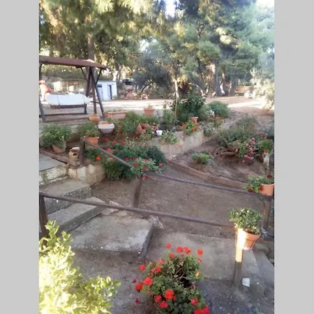 Grandmas Paradise Psakoudia