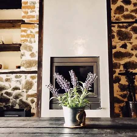 Grandmas Paradise 펜션