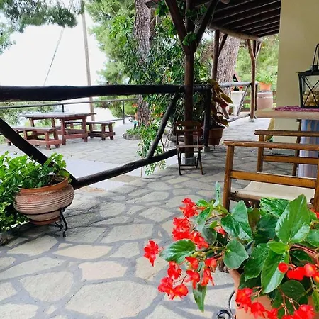 Grandmas Paradise * 사코우디아