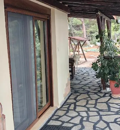 Grandmas Paradise * Psakoudia