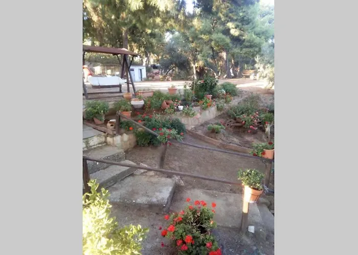 Grandmas Paradise Psakoudia