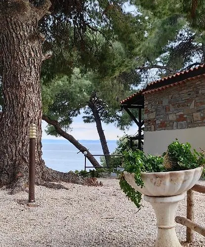 Grandmas Paradise Pszakúdia